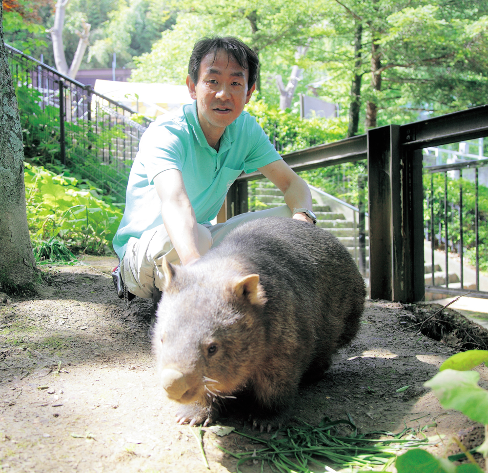 Key Person Vol 17 茶臼山動物園 ウォンバット個体群管理者 髙田 孝慈 Kouji Takada ながの情報 Nagano Joho Next